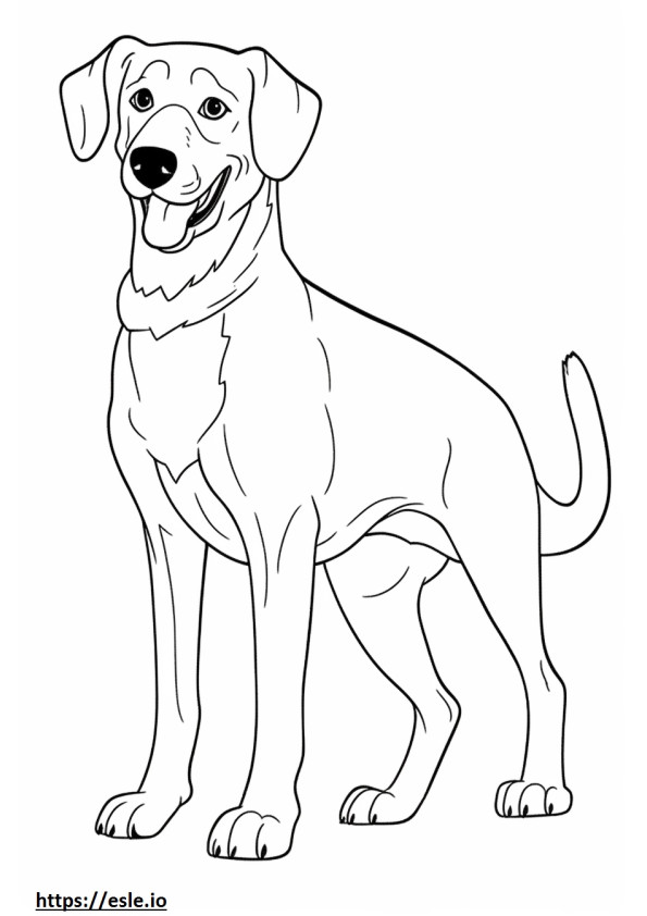 Beagle Shepherd happy coloring page