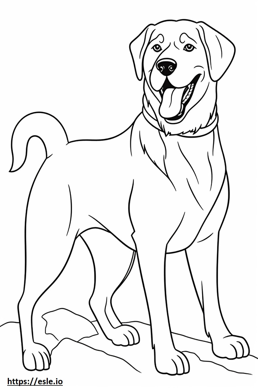 Beagle Shepherd onnellinen värityskuva