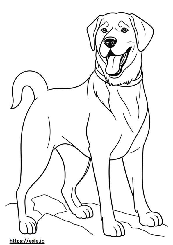 Beagle Shepherd onnellinen värityskuva