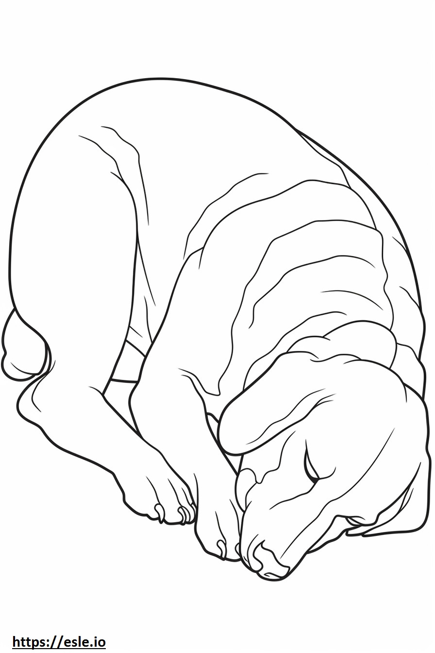 Beagle-Schäferhund schläft ausmalbild