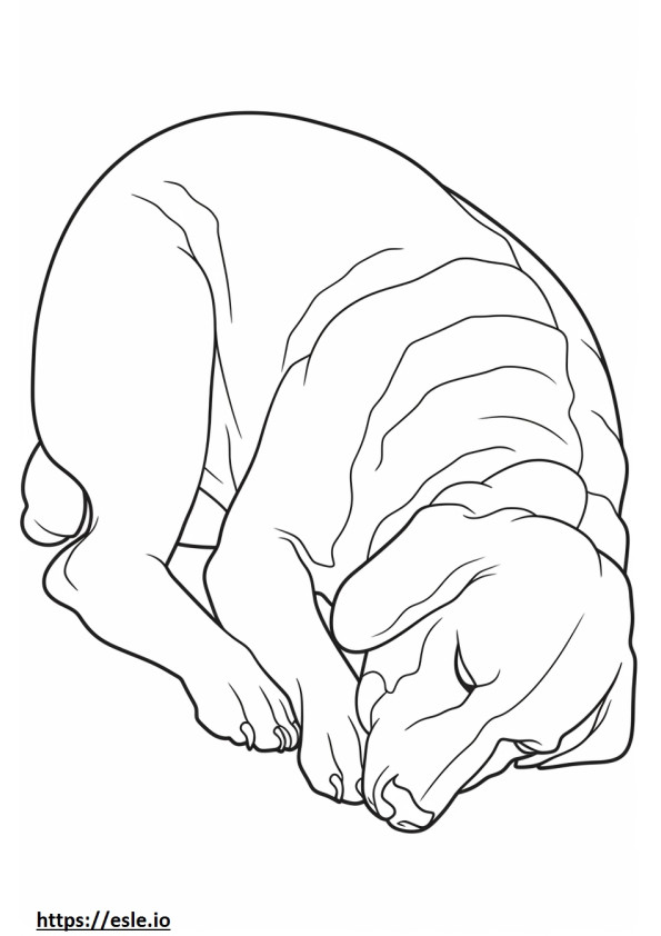 Beaglenpaimenkoira nukkuu värityskuva