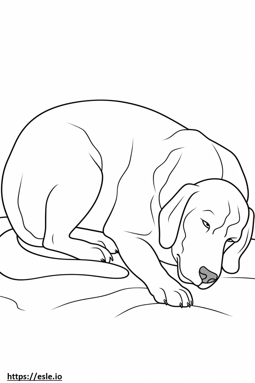 Beagle-Schäferhund schläft ausmalbild
