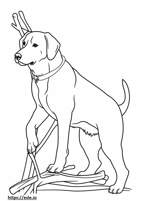 Beagle-Schäferhund spielt ausmalbild