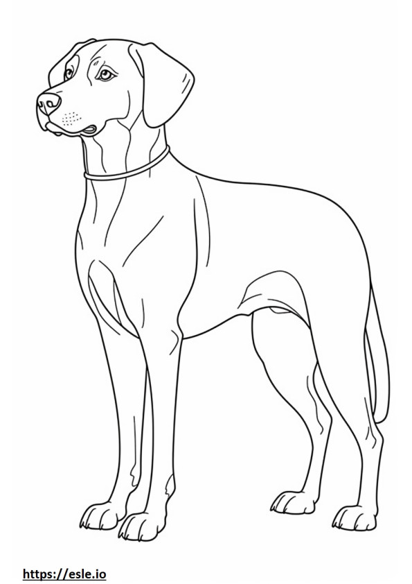 Beagle Shepherd Friendly coloring page