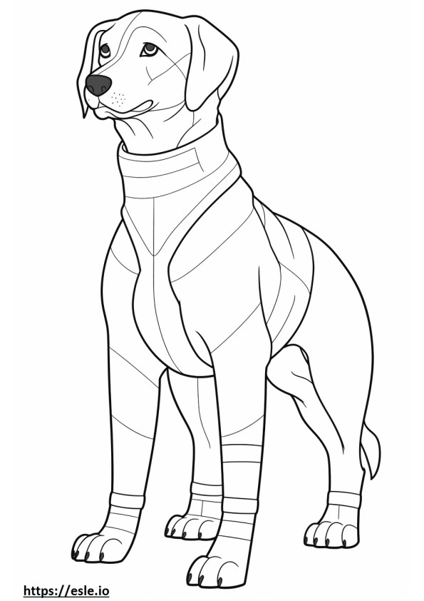 Beaglier full body coloring page