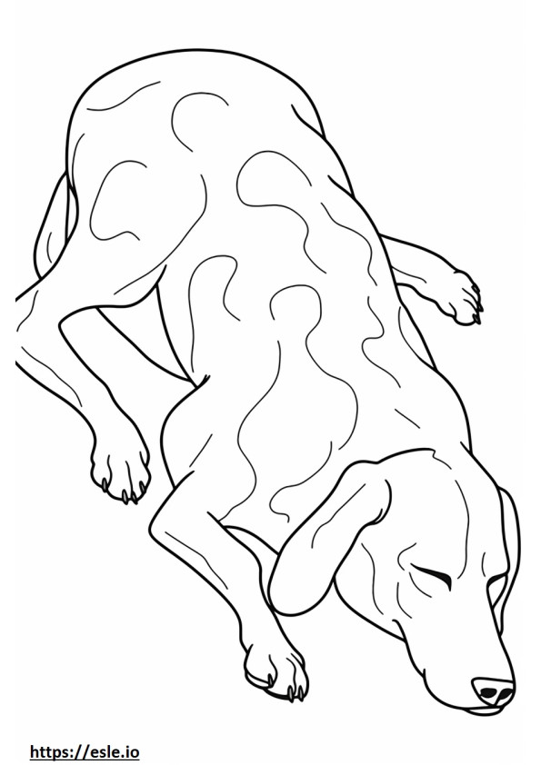 Beaglier Sleeping coloring page