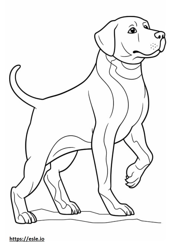 Beaglier Playing coloring page