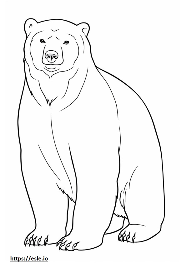 Bear full body coloring page