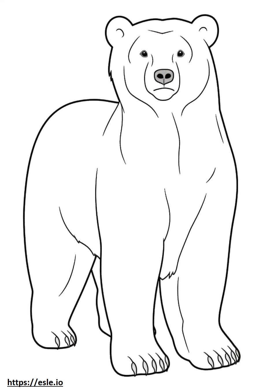 Bear full body coloring page