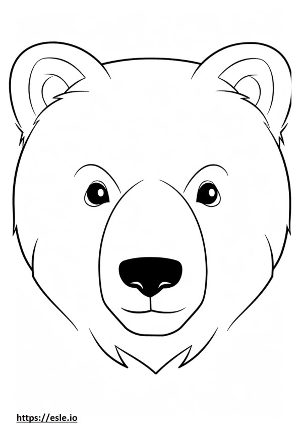 Medve arc szinező