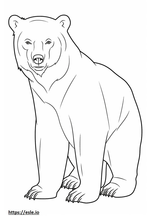 Urso de corpo inteiro para colorir