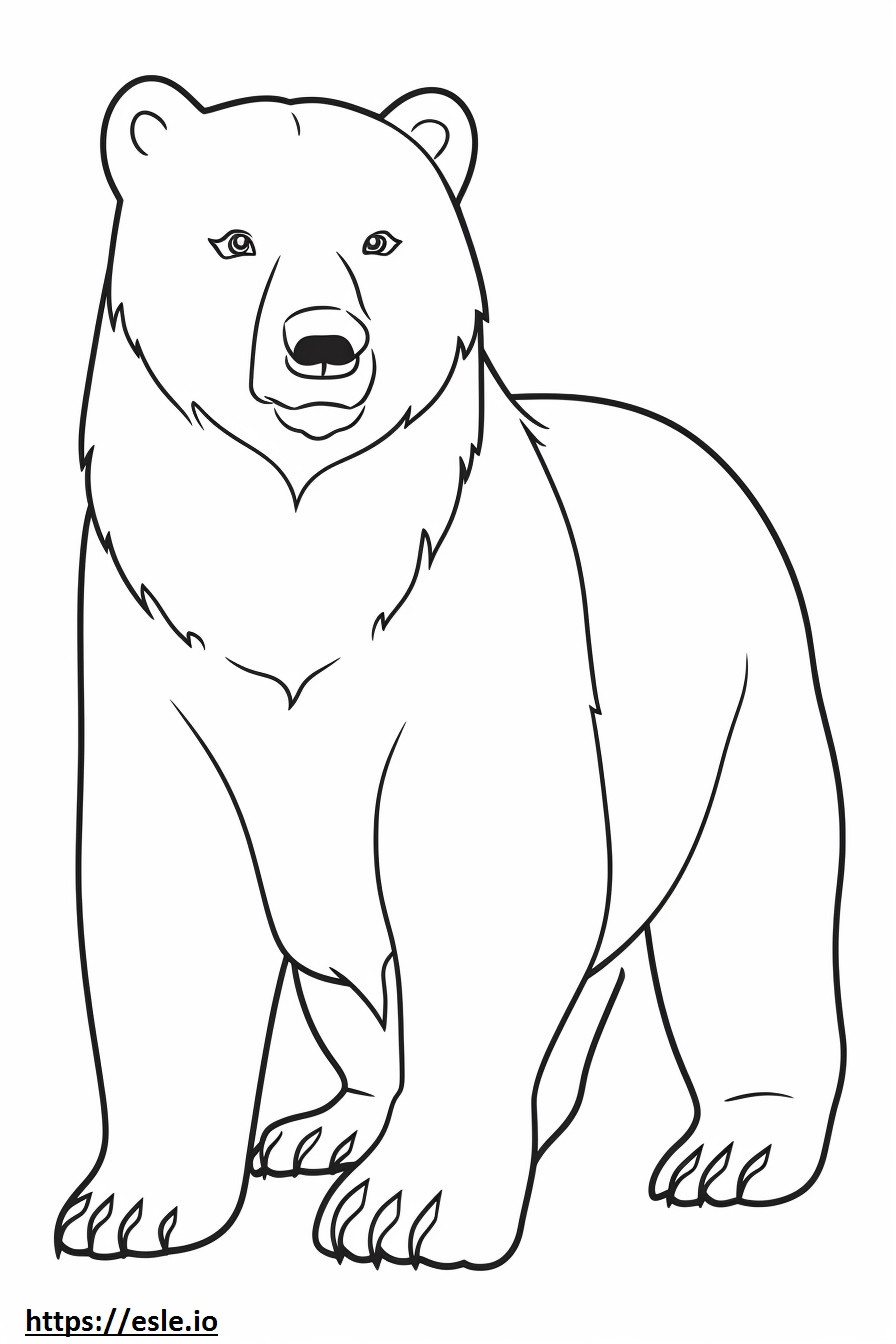 Bear baby coloring page