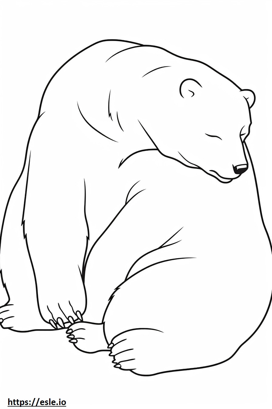 Urso dormindo para colorir