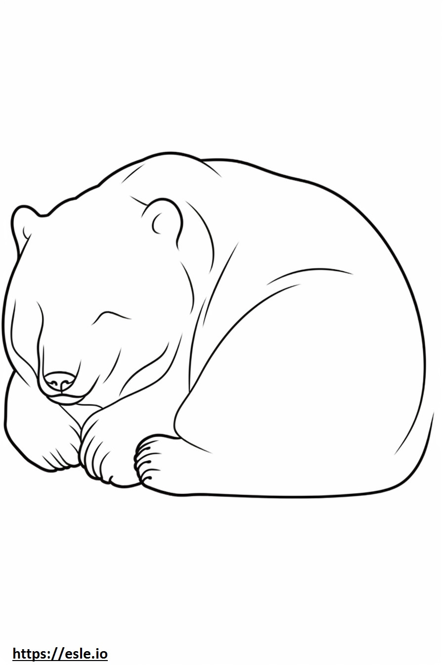 Karhu nukkuu värityskuva