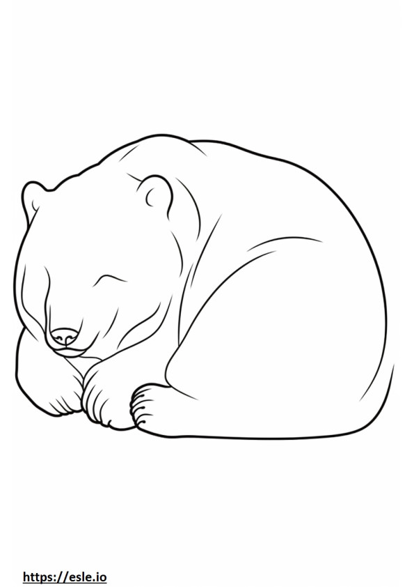 眠っているクマ ぬりえ - 塗り絵