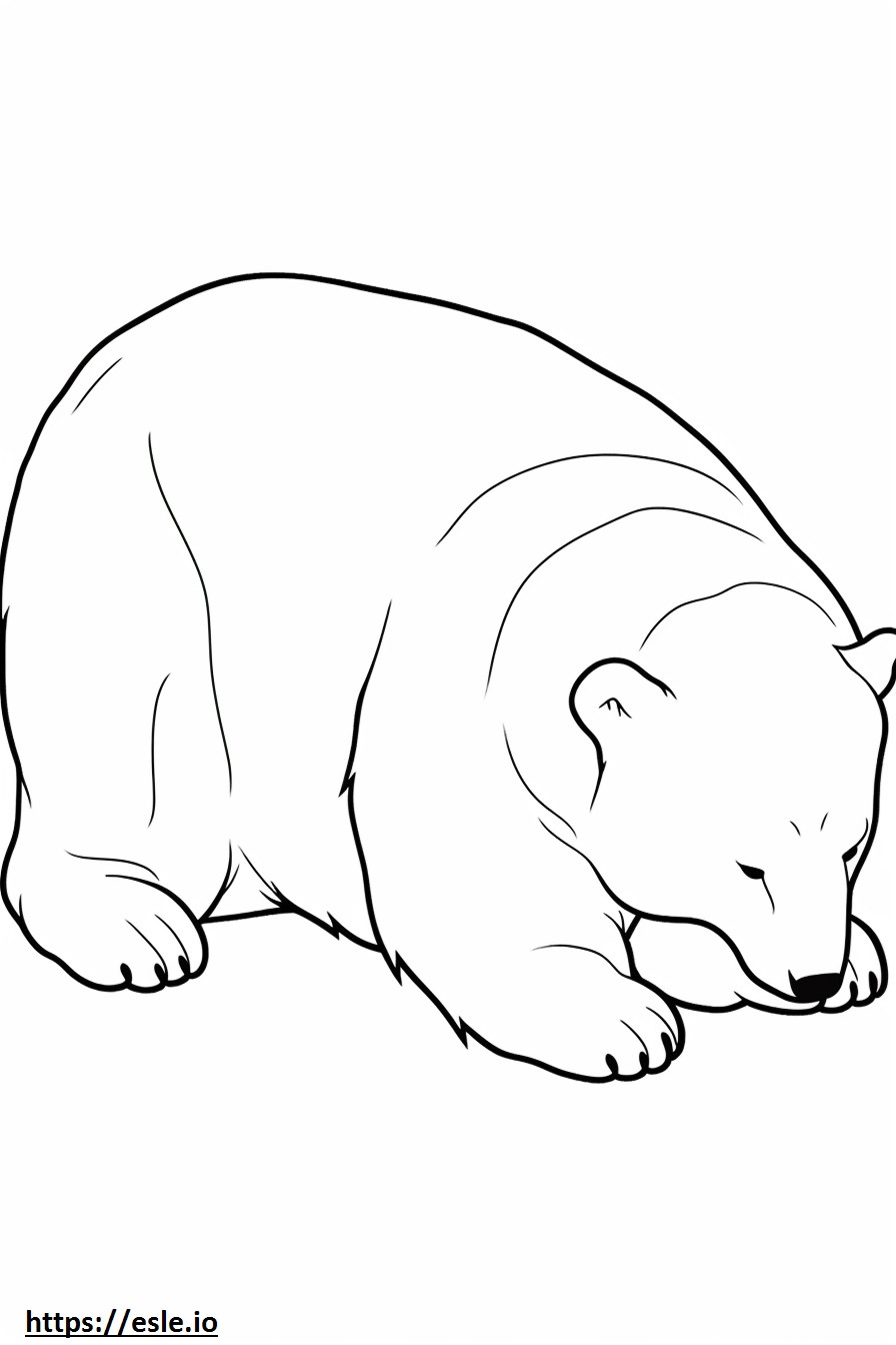 Medve alszik szinező