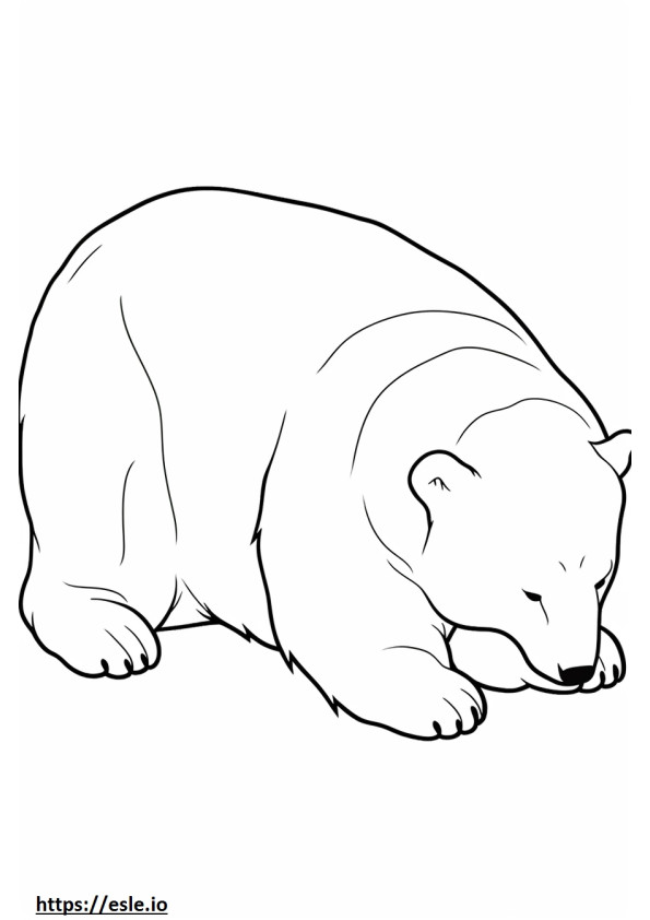 Orso addormentato da colorare