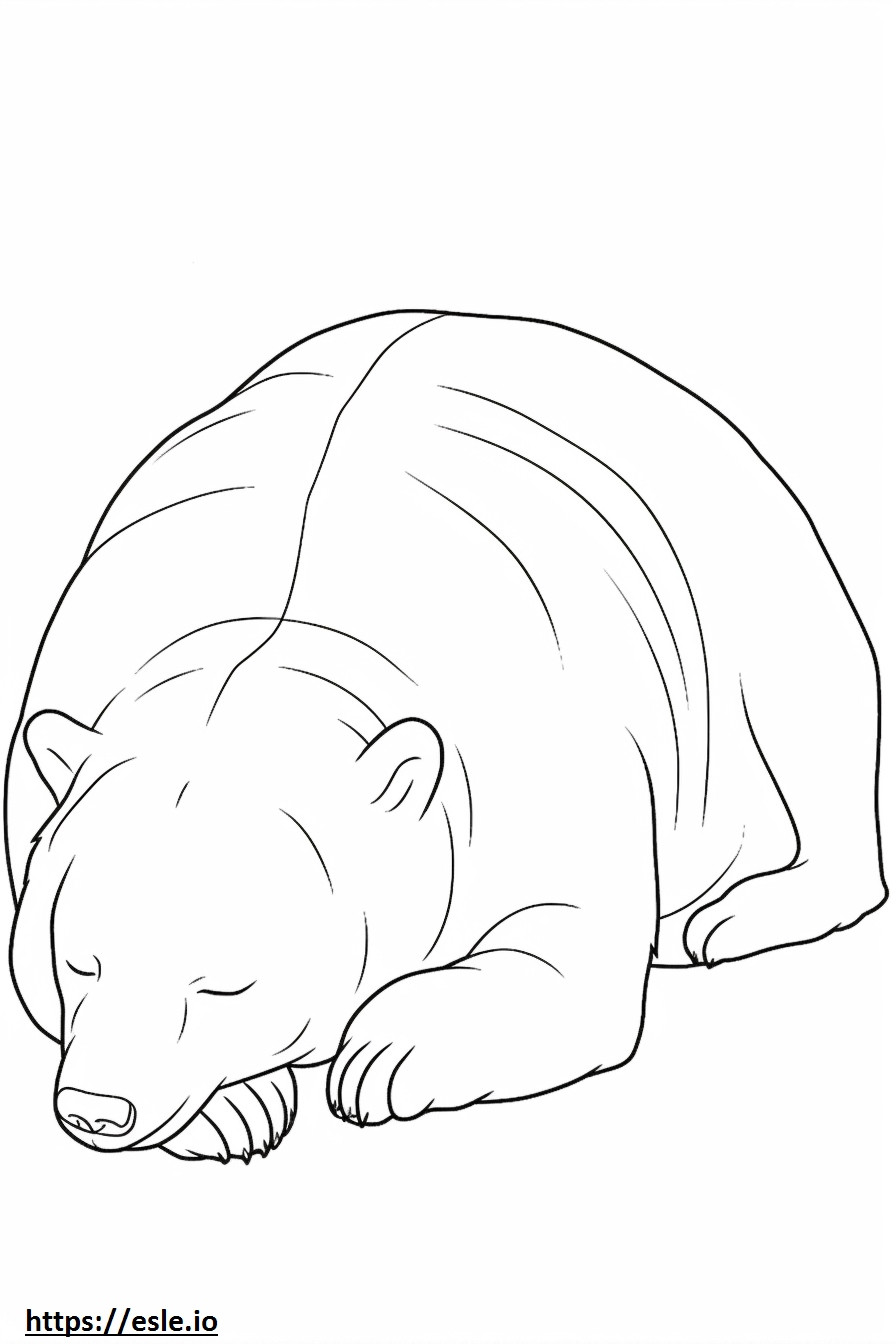 Bear Sleeping coloring page