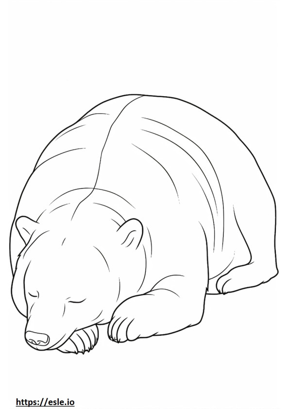 眠っているクマ ぬりえ - 塗り絵
