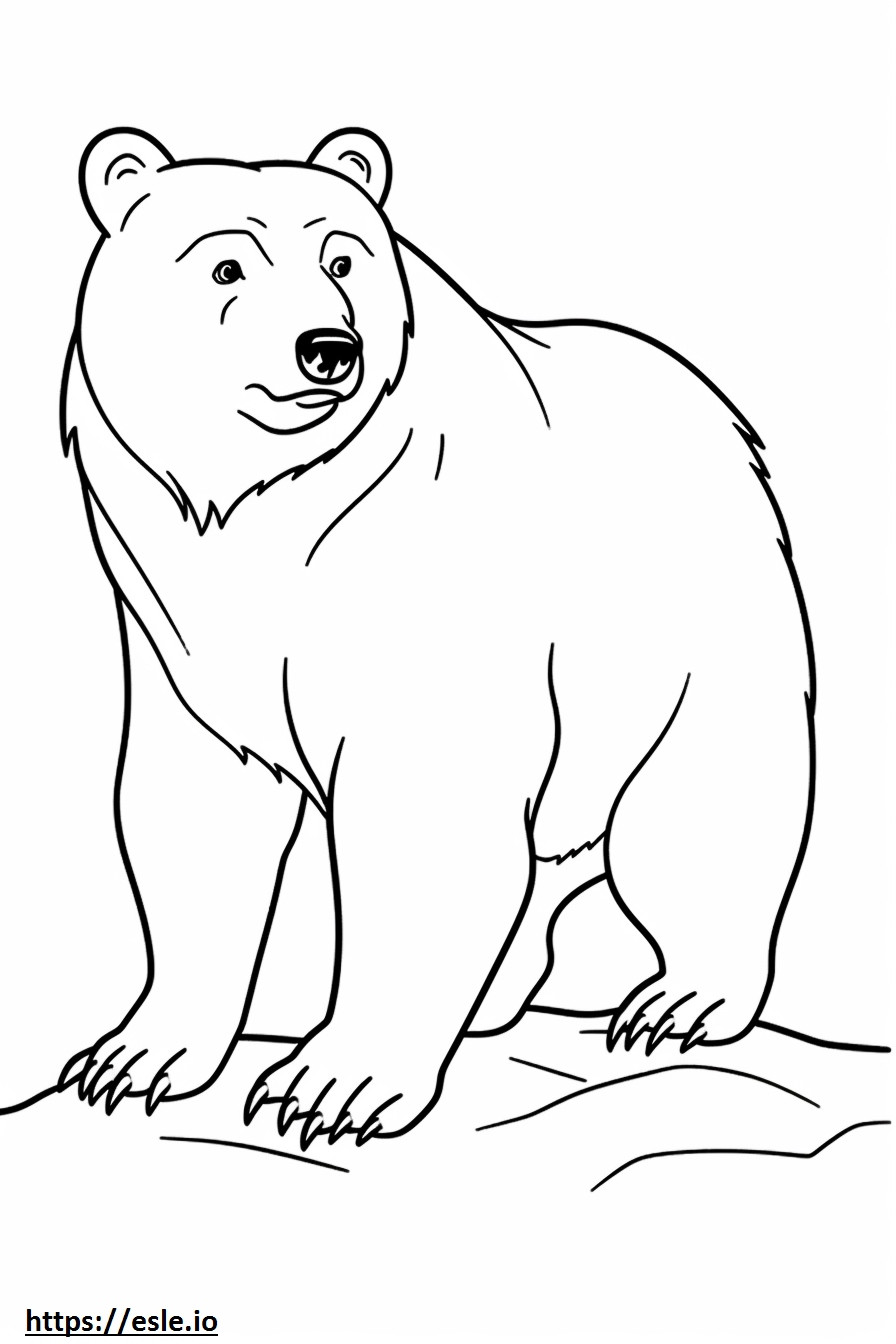 Urso brincando para colorir