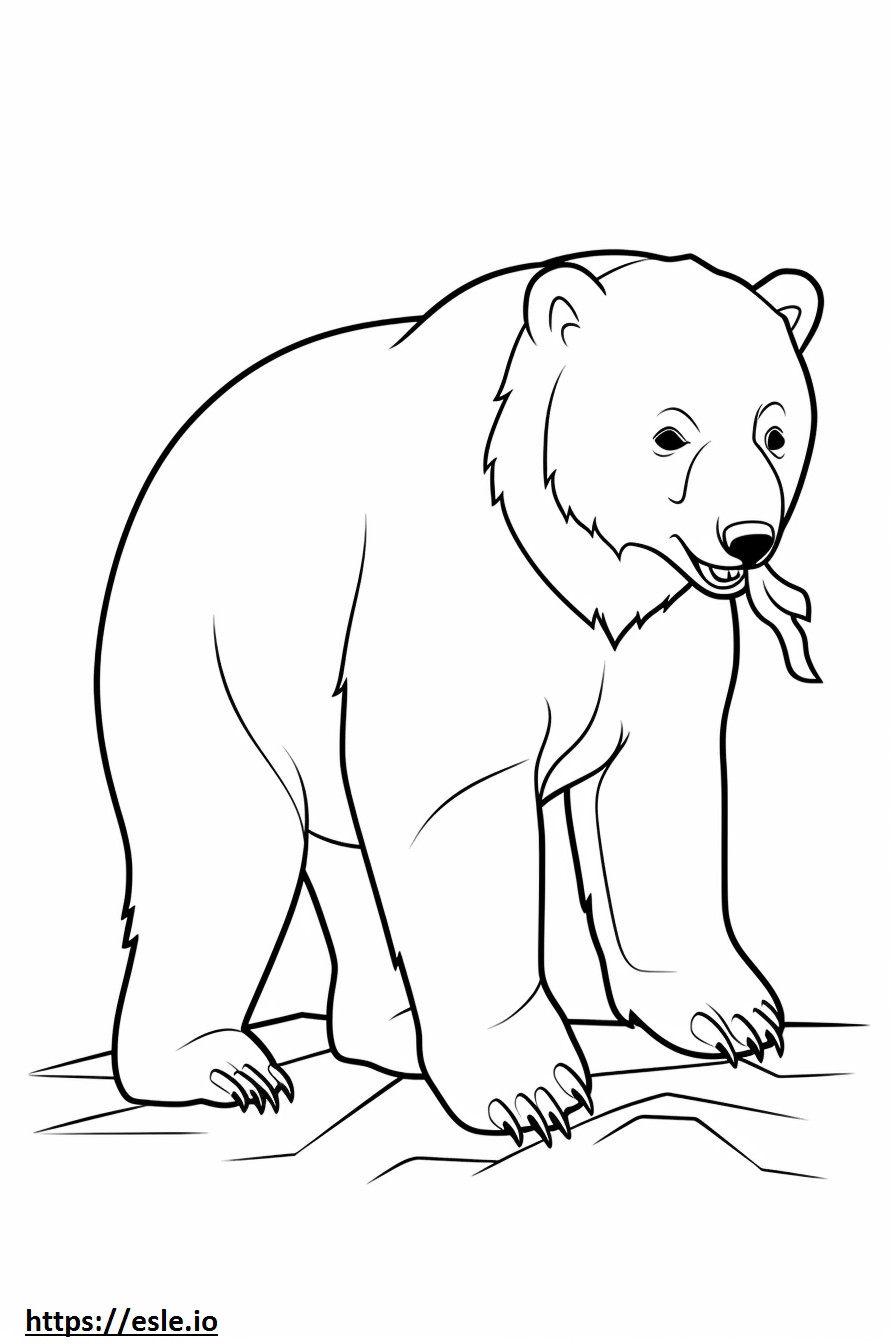Niedźwiedź bawiący się kolorowanka