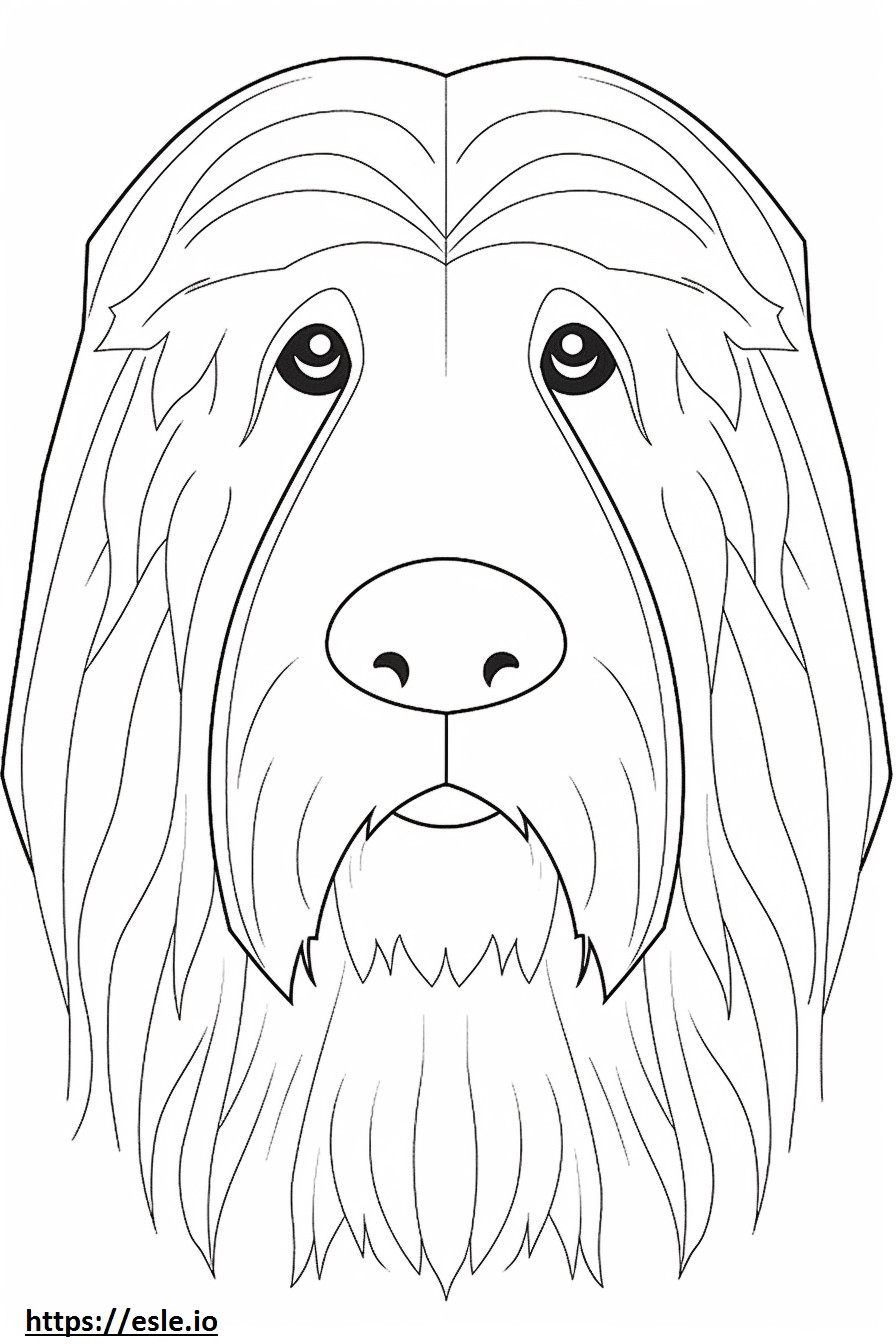 Bearded Collie-gezicht kleurplaat kleurplaat