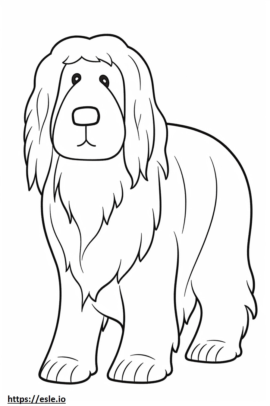 Bearded Collie baby coloring page