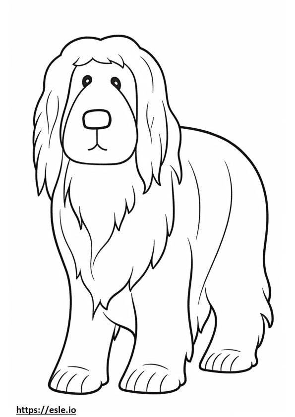 Bearded Collie baby coloring page