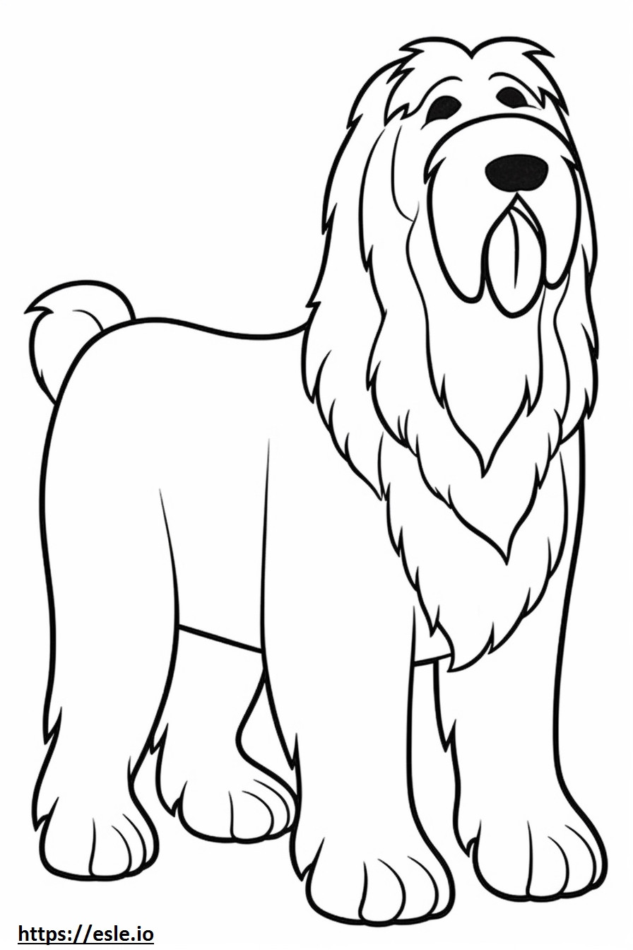 Bearded Collie cartoon coloring page