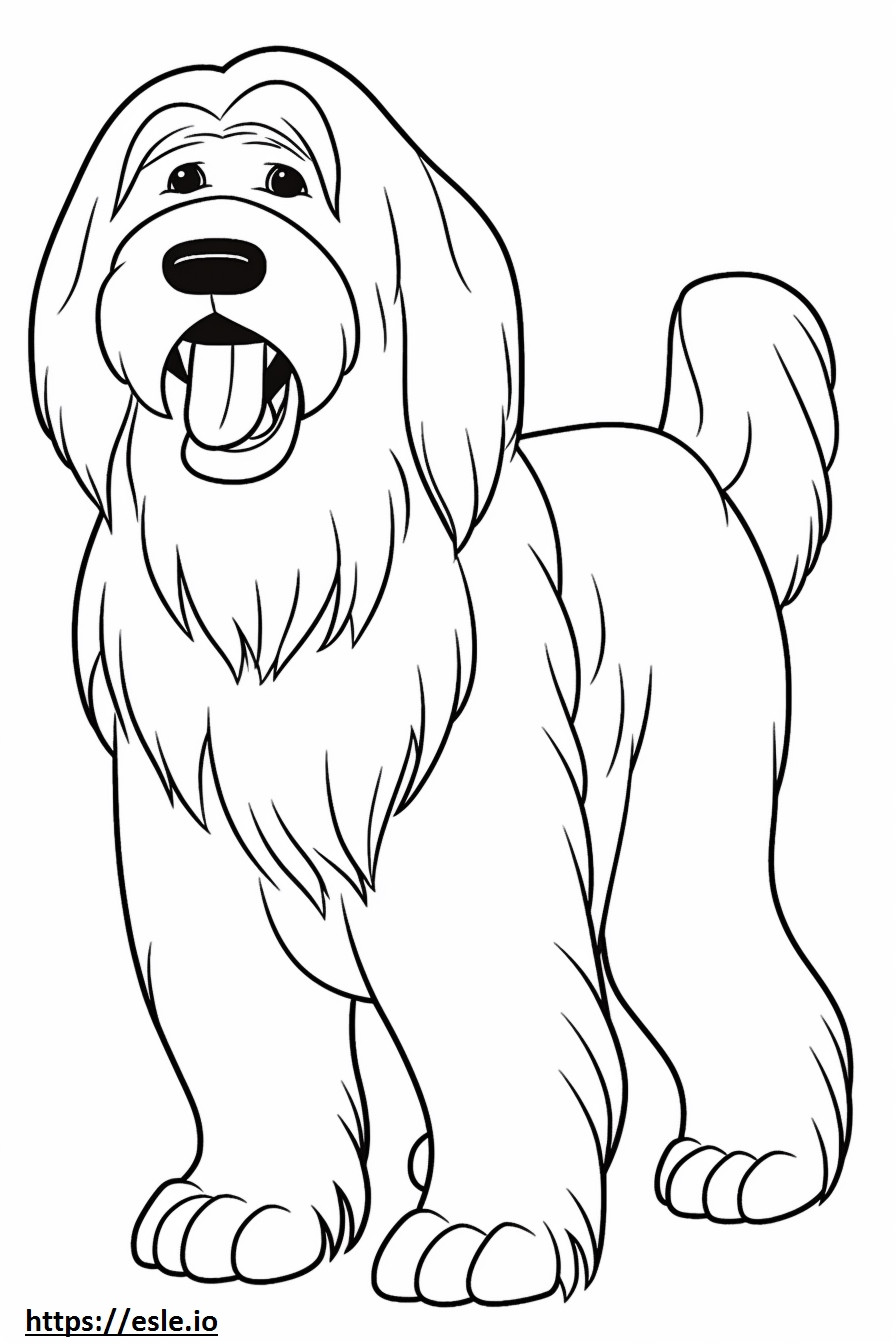 Bearded Collie cartoon coloring page