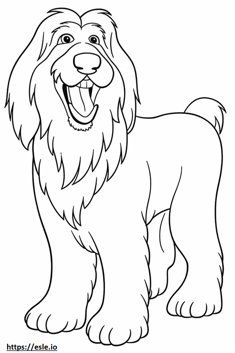 Bearded Collie happy coloring page