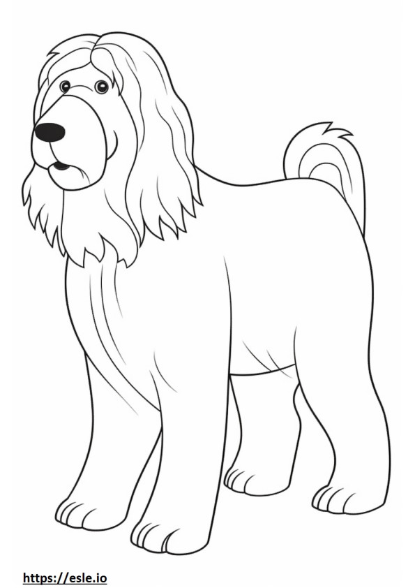 Bearded Collie cute coloring page