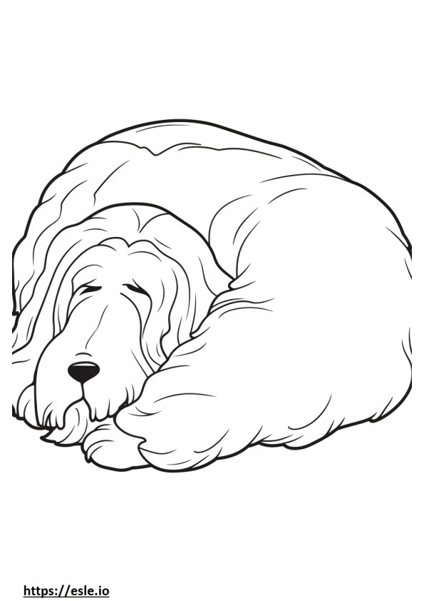 Bearded Collie Sleeping coloring page