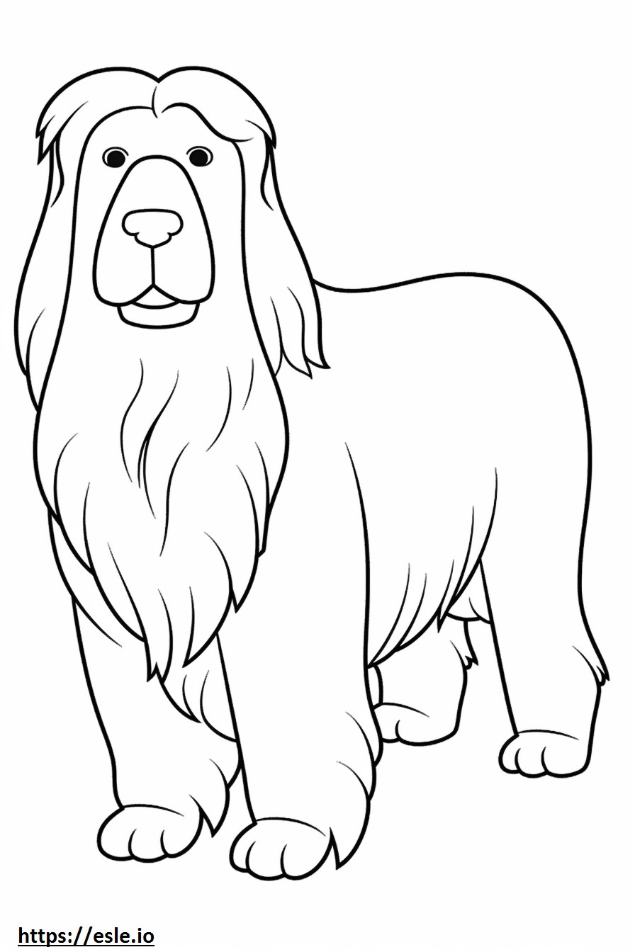 Bearded Collie Friendly coloring page