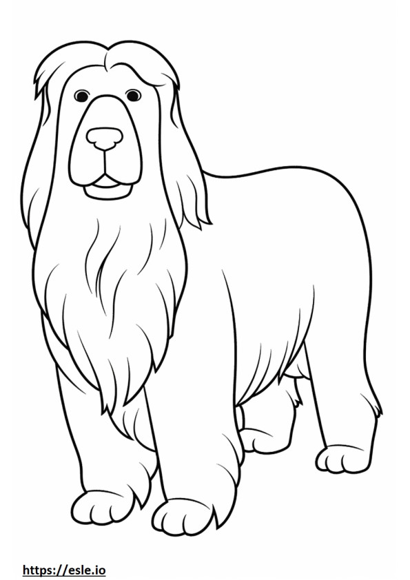 Bearded Collie Friendly coloring page