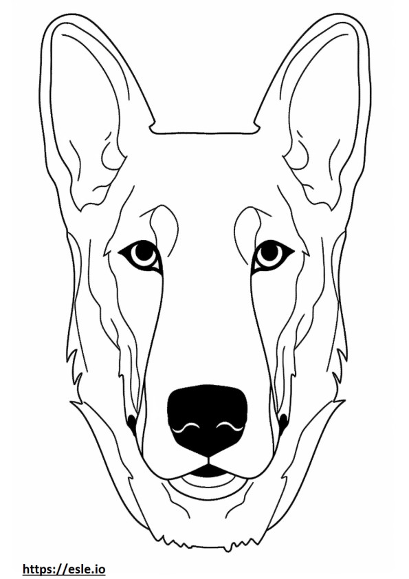 Beauceron face coloring page