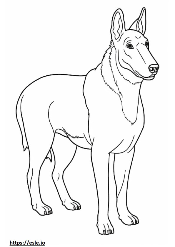 Beauceron baby coloring page