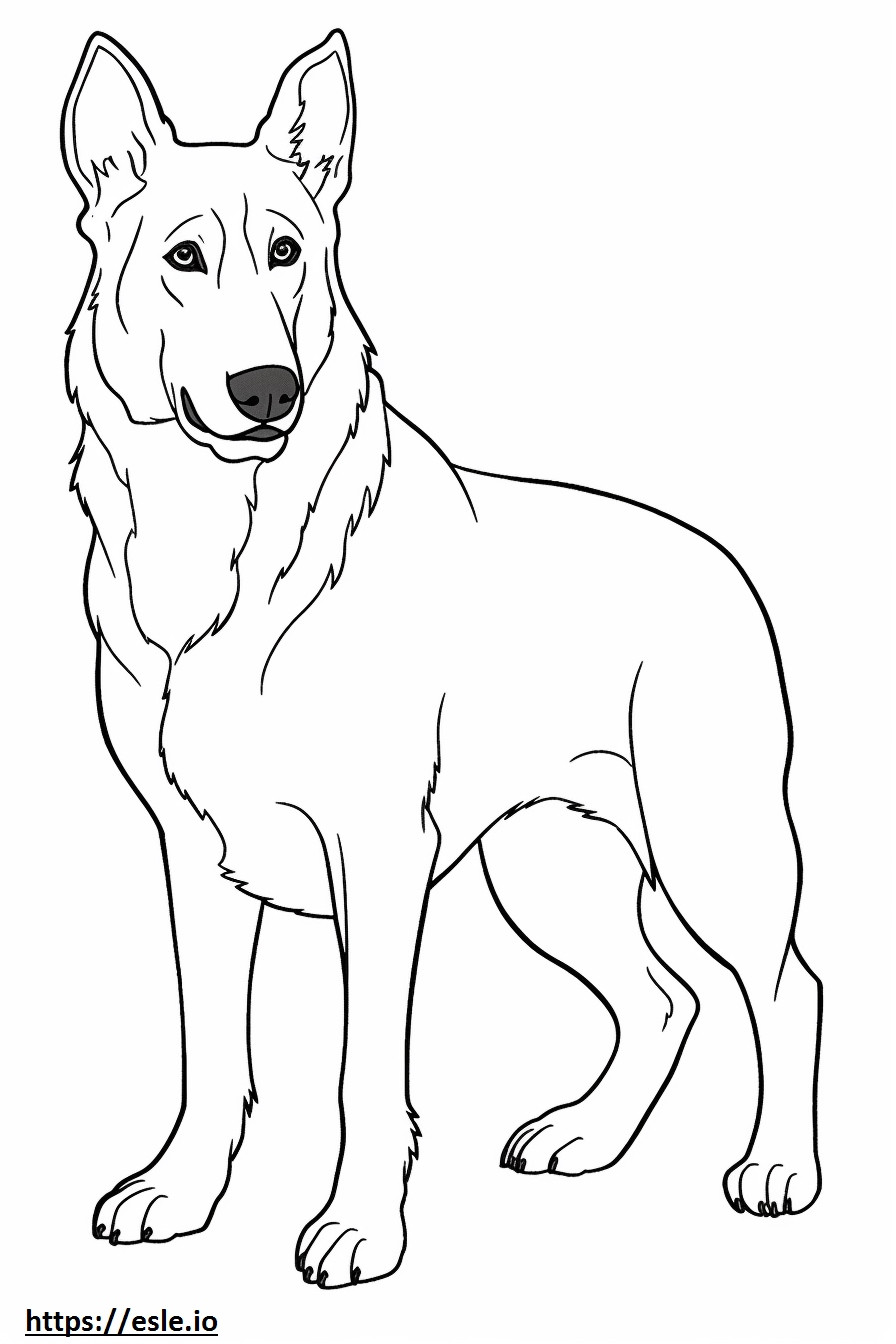 Beauceron cute coloring page