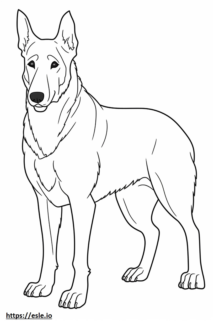 Beauceron cute coloring page