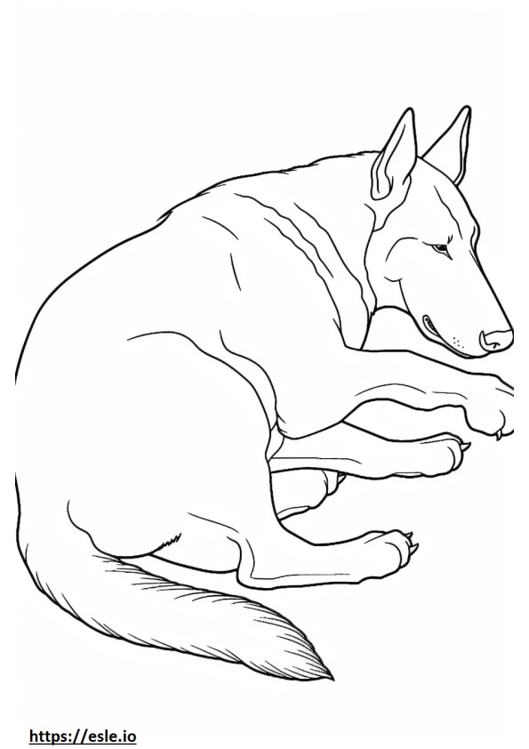 Beauceron Sleeping coloring page