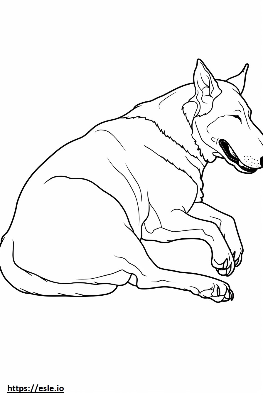 Beauceron Sleeping coloring page
