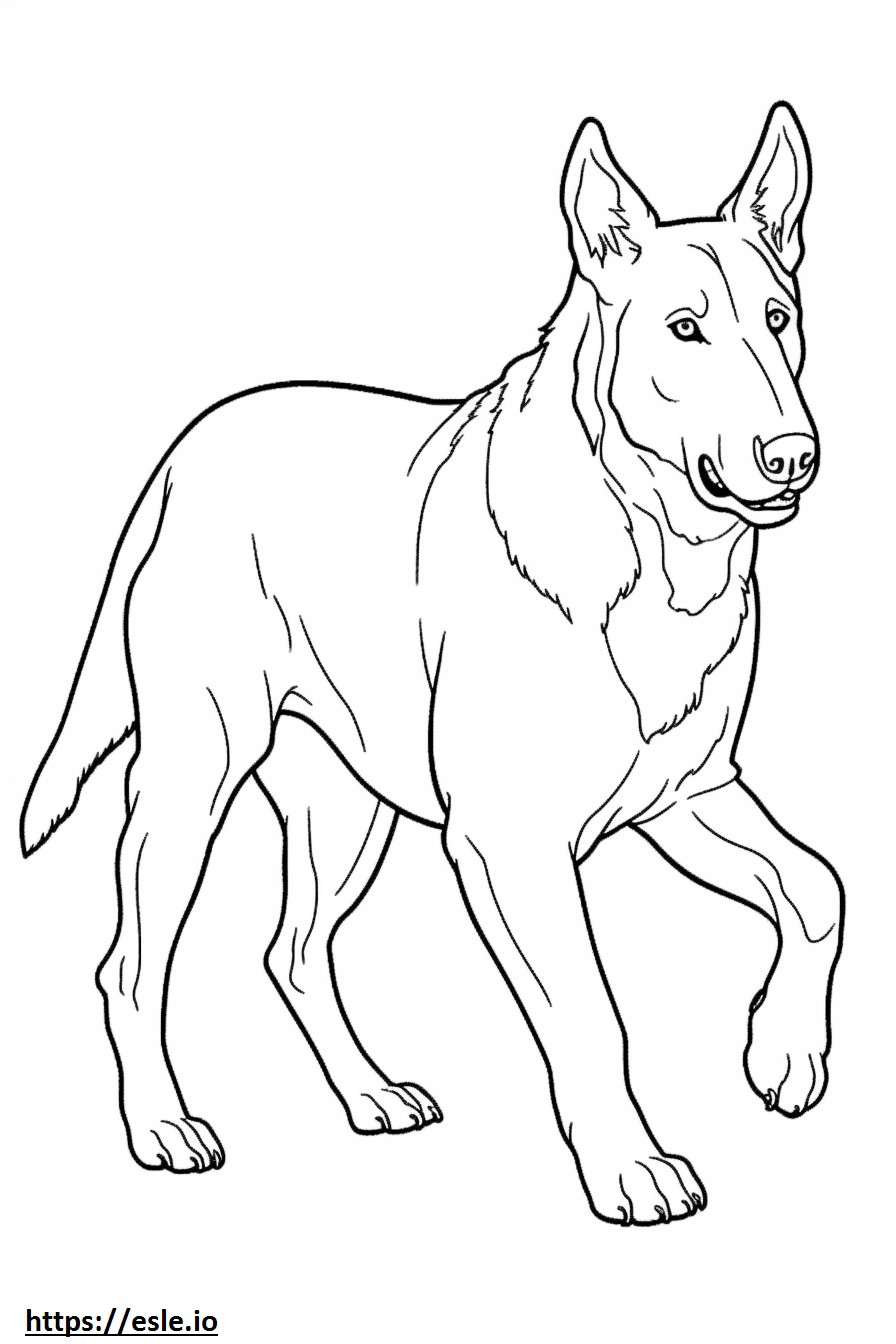 Beauceron Playing coloring page