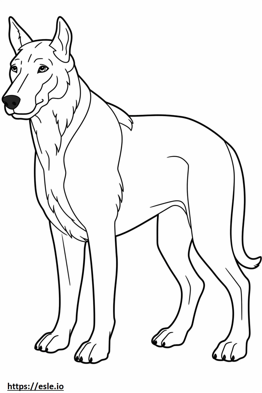 Beauceron Playing coloring page