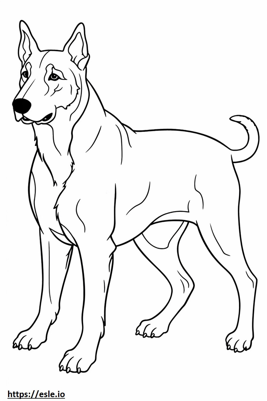 Beauceron Friendly coloring page