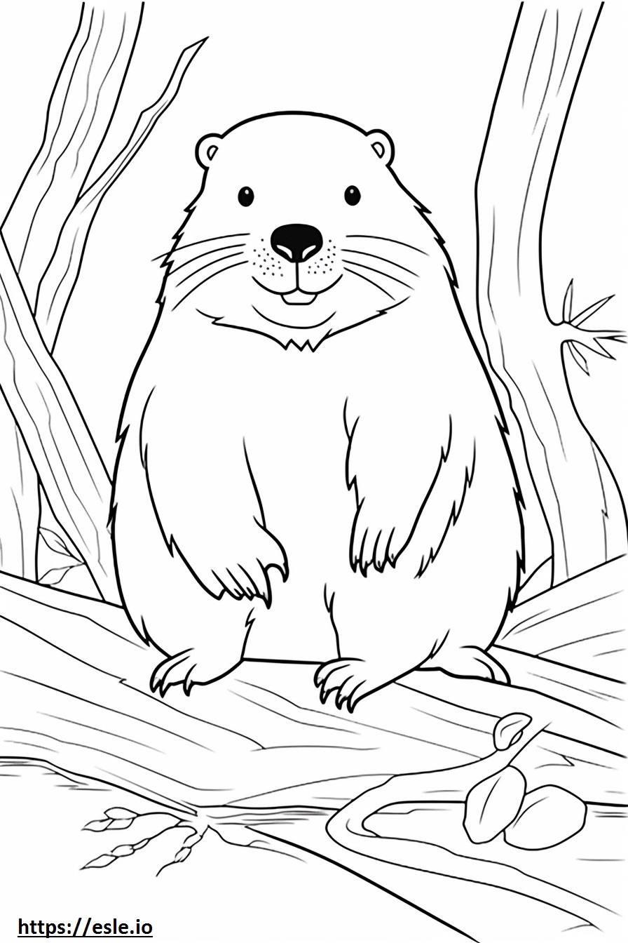 Beaver boldog szinező