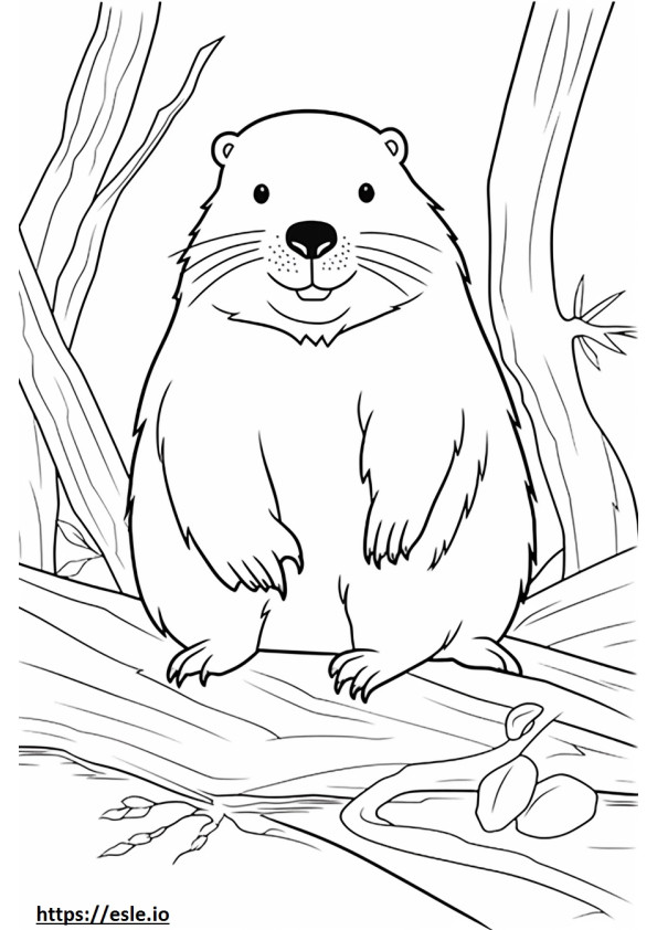 Beaver boldog szinező