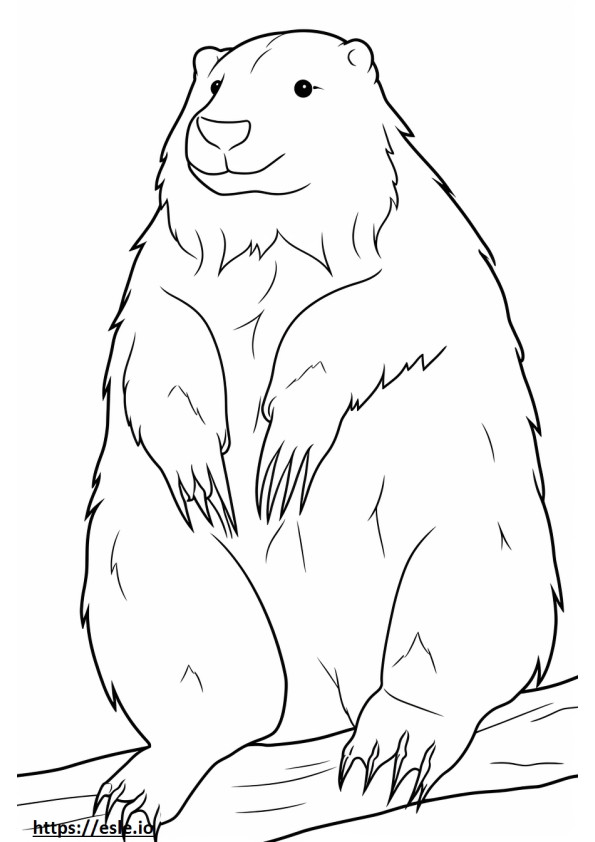 Beaver Playing coloring page
