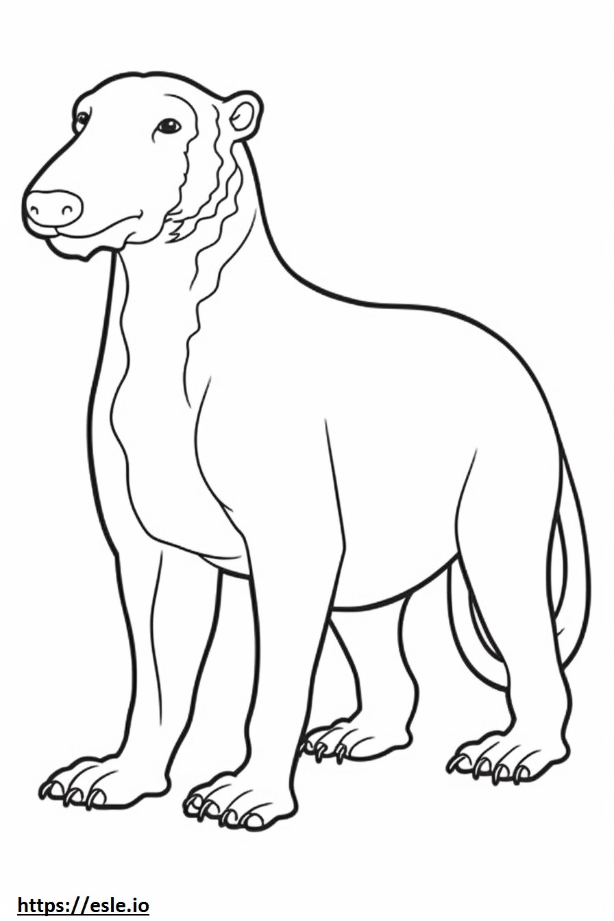Bedlington Terrier, całe ciało kolorowanka