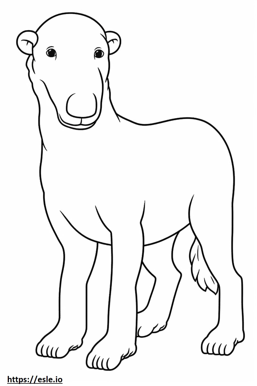 Desenho animado de Bedlington Terrier para colorir