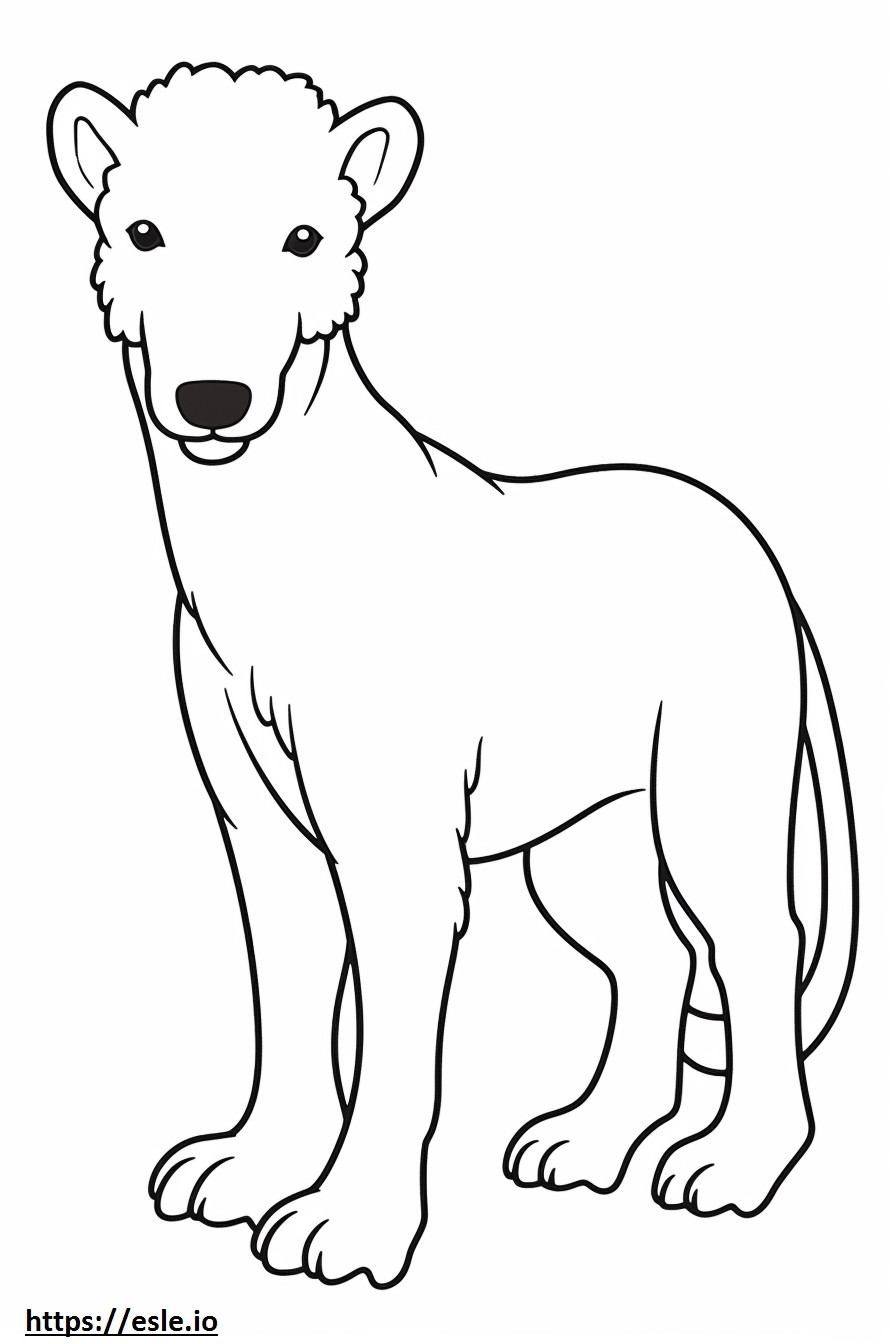 Bedlington Terrier fofo para colorir
